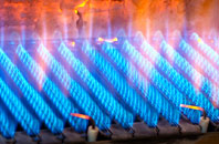 Erwood gas fired boilers